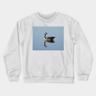 Canadian Goose, wild birds, wildlife gifts Crewneck Sweatshirt